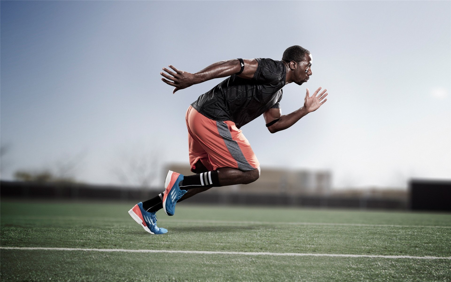 球迷文化塑造赛场灵魂，从助威到公益，体育精神的多元表达