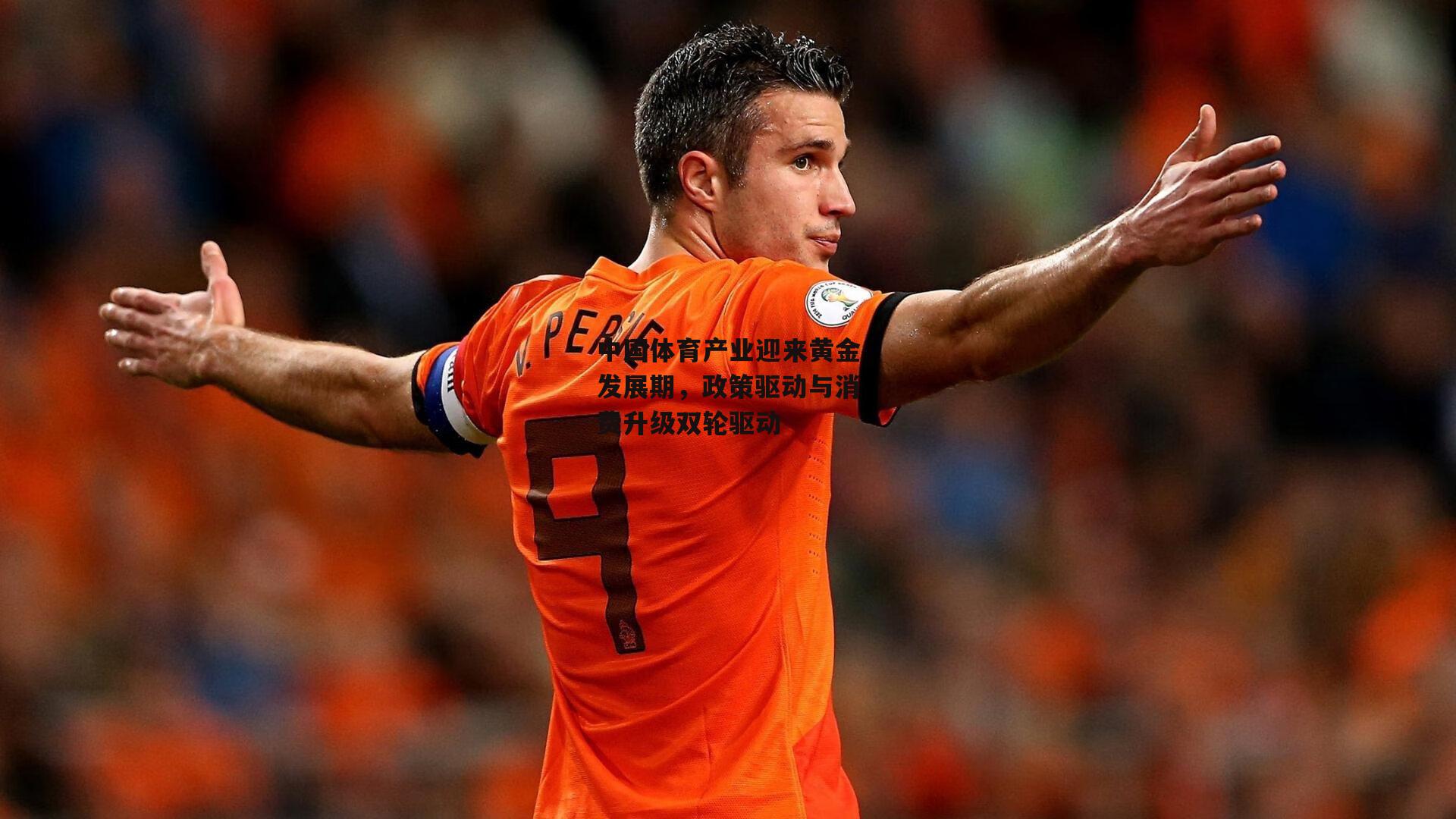 中国体育产业迎来黄金发展期，政策驱动与消费升级双轮驱动