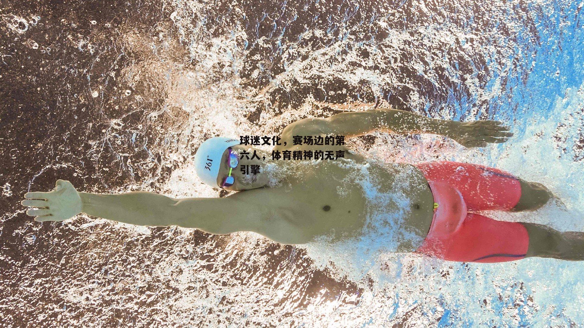 球迷文化，赛场边的第六人，体育精神的无声引擎